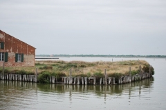 DSC_1923