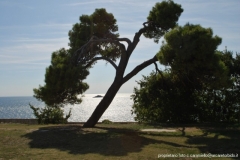 02-rovigno-11-panorama-da-s.-eufemia