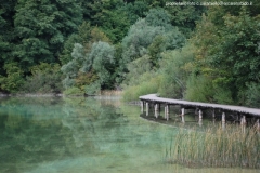 03-pitvice-parco-08-passerella-tipo_01