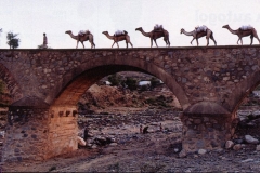 48ponte