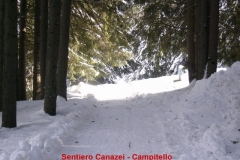 16-sentiero-canazei-campitello