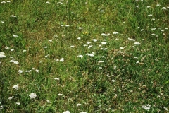 B-Colle-della-Maddalena-3
