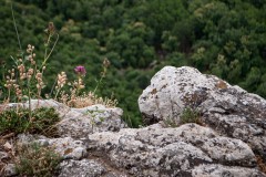 garfagnana-1-33