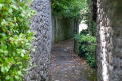 garfagnana-1-56