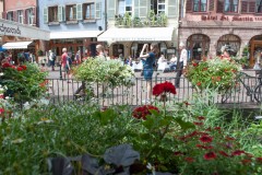 alsazia2019-1-68