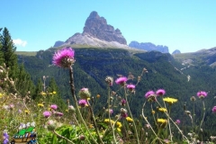 DSCN0308-le-tre-cime-di-Lavaredo-dal-monte-Piana