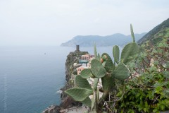 cinque-terre-2019-1-15