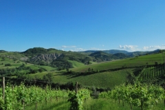 01-Salse-di-Nirano