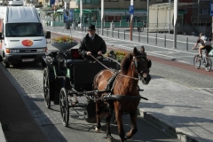 Oostende-cavallo-a_JPG