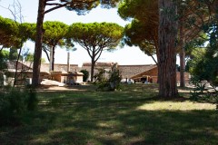 toscana2020-1-18