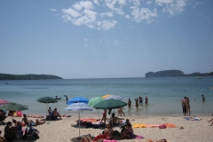 14-pineta-mugoni-spiaggia