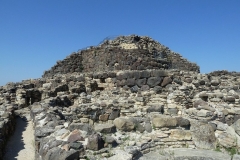 P1000380