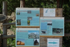 P1000387