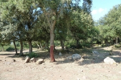 P1000388