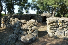 P1000394