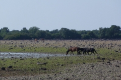 P1000400