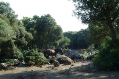 P1000408