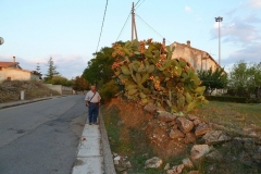 P1000410
