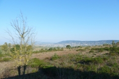 P1000414