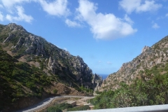 P1000486