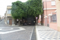 P1000496