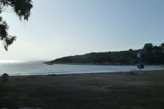 P1000504