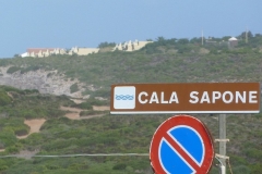 P1000505
