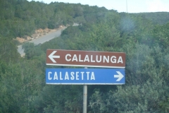 P1000507