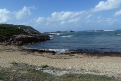 P1000512
