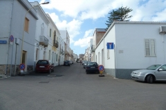 P1000516