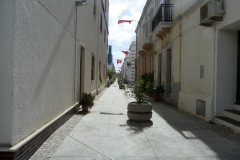 P1000517