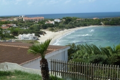 P1000519