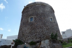P1000520
