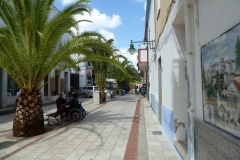 P1000523
