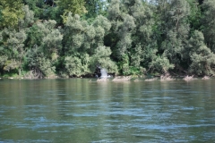 D-16-Roggia