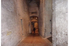 P1010319