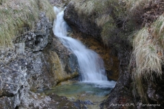 IMGP0912