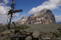 IMGP3182-segni-di-guerra-sul-Col-dei-Bos-con-vista-sulla-Tofana-di-Rizes