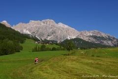 IMGP3237-prati-intorno-a-Cortina-con-sfondo-le-Tofane_Cortina