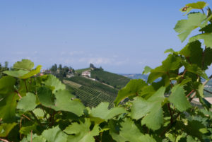 Alla ricerca della Provenza Piemontese